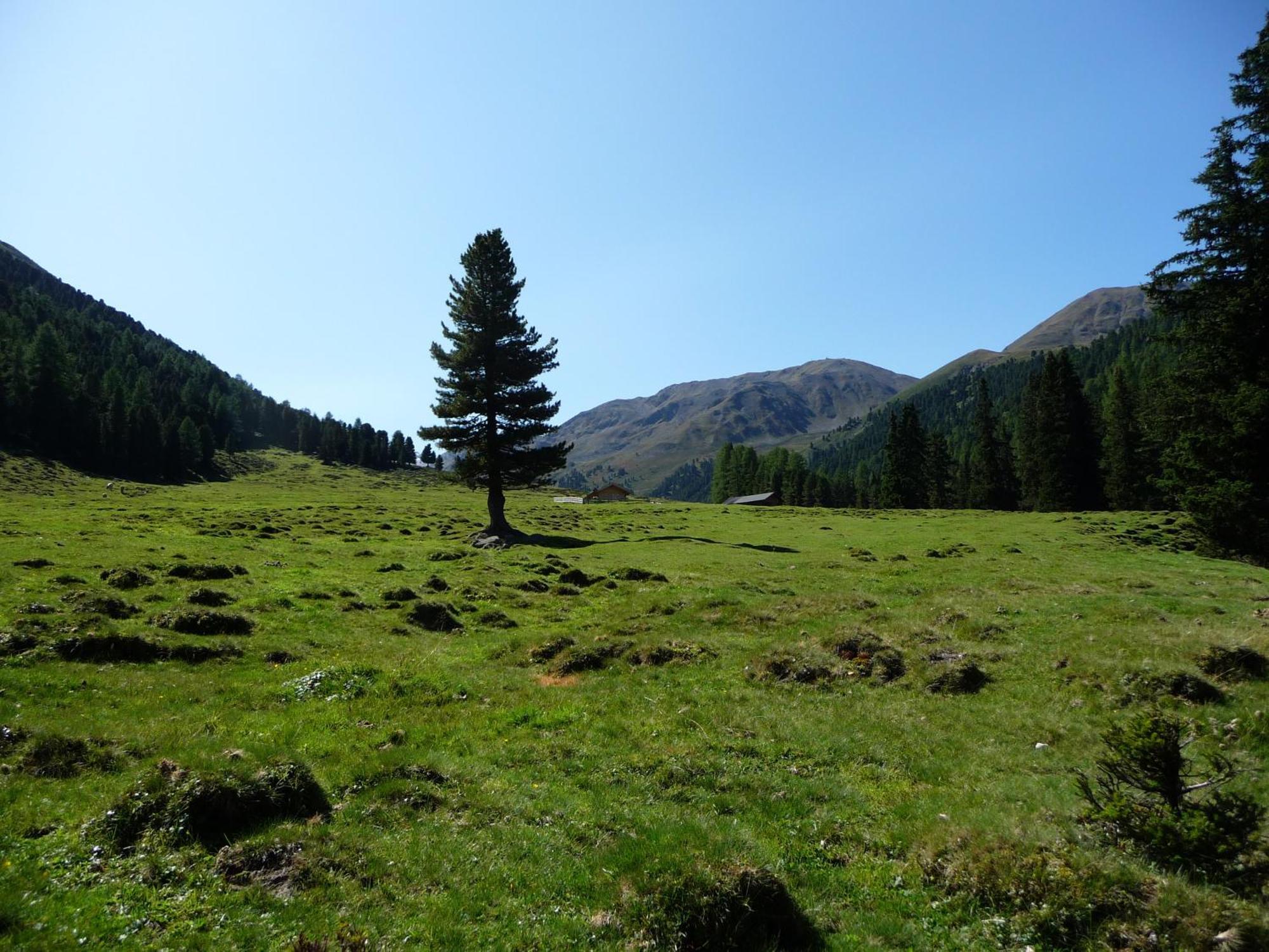 Apart Piz Mondin Pfunds Extérieur photo