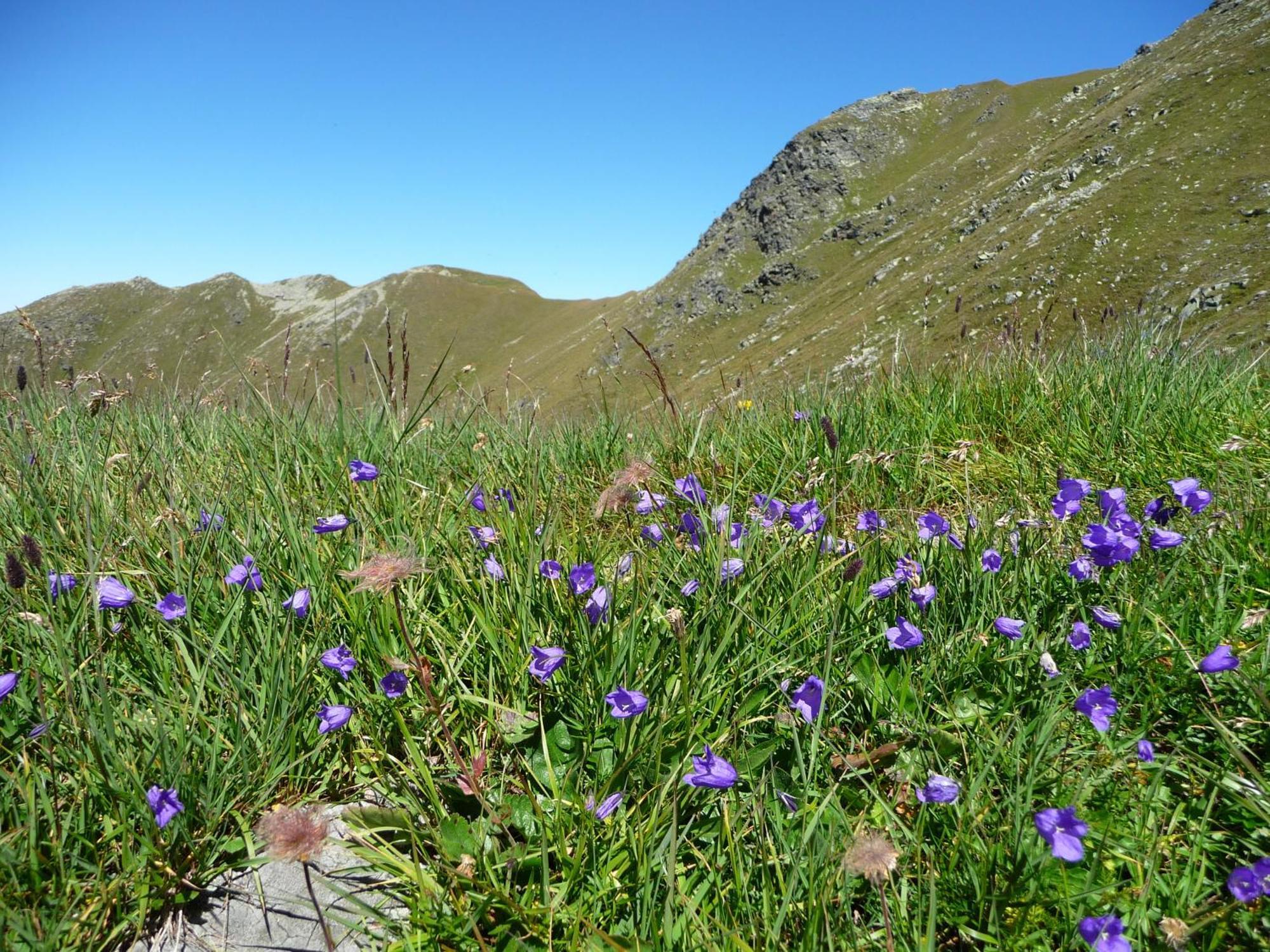 Apart Piz Mondin Pfunds Extérieur photo